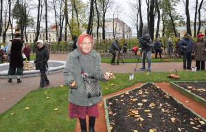 Луковицы тюльпанов Летний сад октябрь 2013
