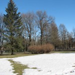 Весна Царское Село _ _