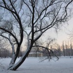 Парк Победы Рождество 1