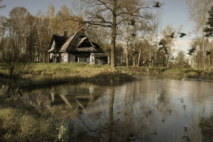Усадьба 5336483_large