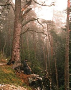 foto-monax-image002