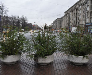elki-v-spb